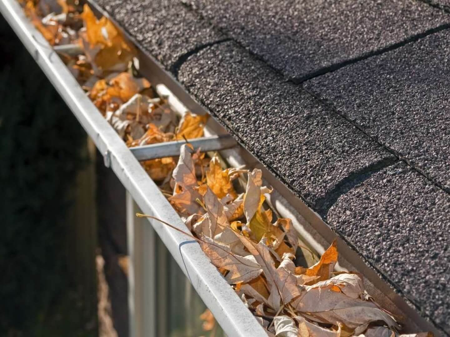 gutter repair near me